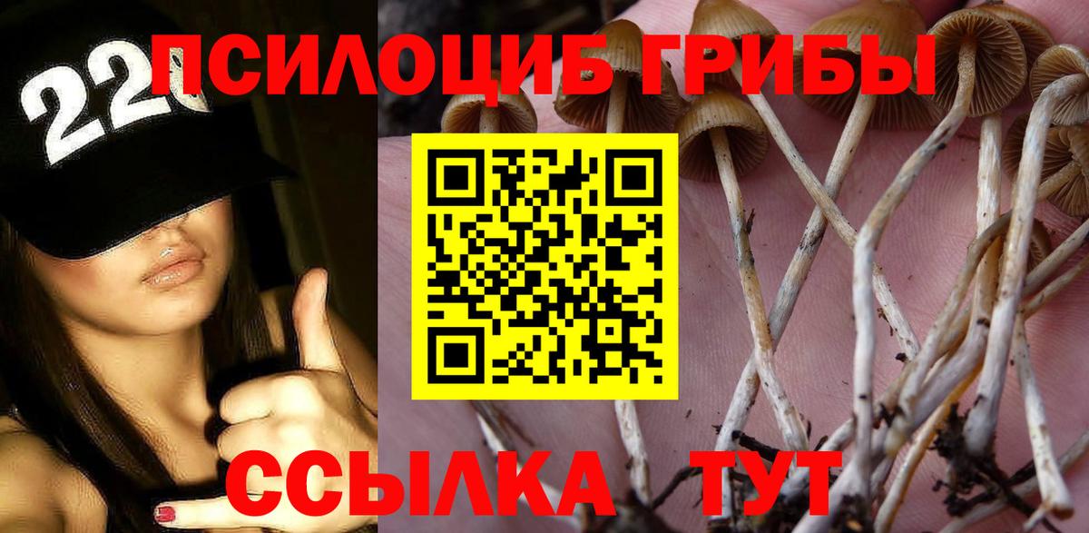Псилоцибиновые грибы MAGIC MUSHROOMS  Вход с VPN  Осинники 