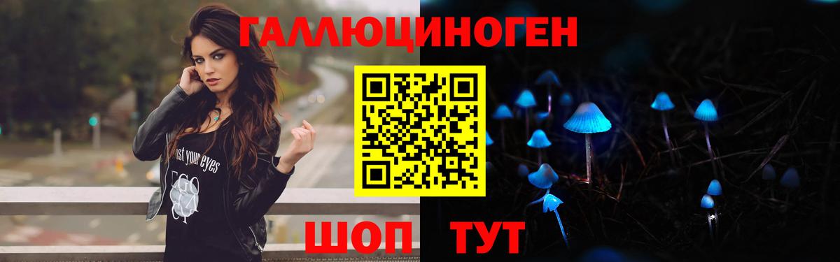 Псилоцибиновые грибы прущие грибы Осинники